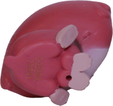 #2-102 Hamster "Trip Hamston"